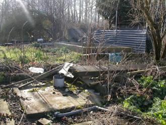 Nettoyage de terrain avant