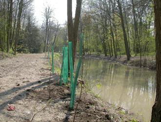 Plantations avant