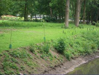 Plantations après