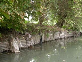 Restauration de berges avant