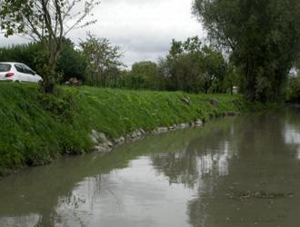 Restauration de berges après
